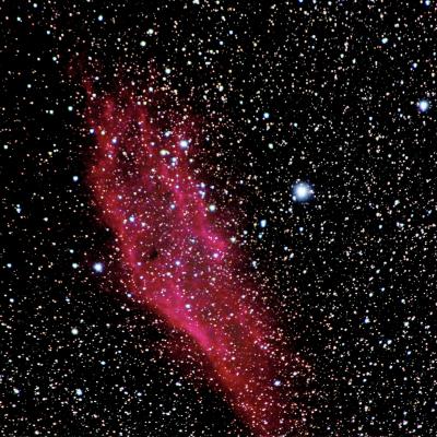 Nébuleuse Californie, NGC 1499, 202 poses de 25 secondes, 300mm