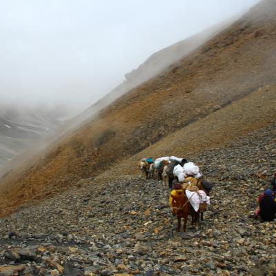 Trek au Zanskar, Phirtse La, Col à 5550 mètres