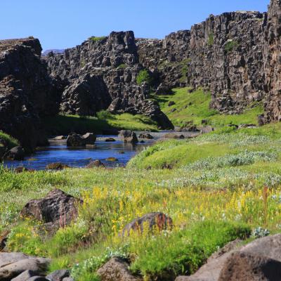 Trek en Islande Thingvellir