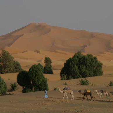 Trek au Maroc, Erg Chebbi